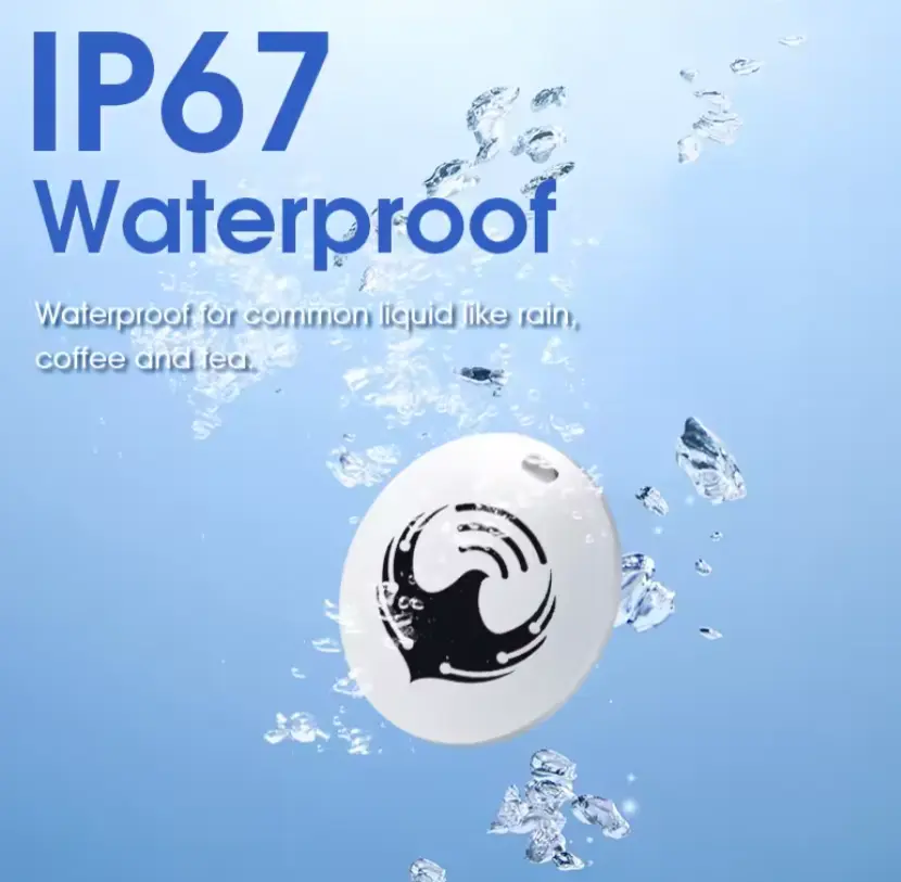 4.webp